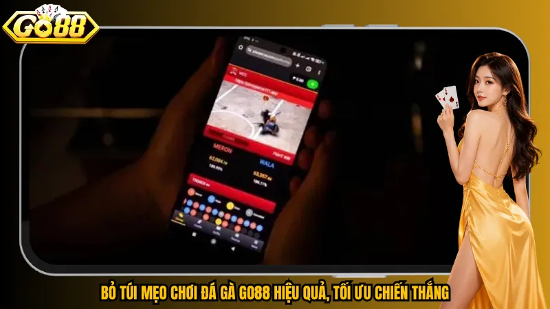 Đá Gà Go88 - Xem Trực Tiếp, Cược Nhanh Từng Pha Đối Đầu 6 Bỏ túi mẹo chơi đá gà Go88 hiệu quả, tối ưu chiến thắng