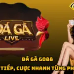Đá Gà Go88 - Xem Trực Tiếp, Cược Nhanh Từng Pha Đối Đầu 7 Đá Gà Go88 - Xem Trực Tiếp, Cược Nhanh Từng Pha Đối Đầu
